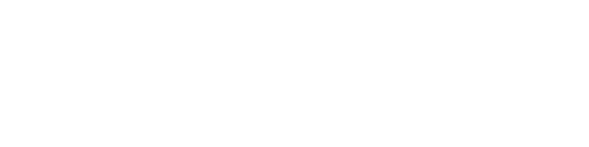 WHOO - Smart E-Commerce Systems